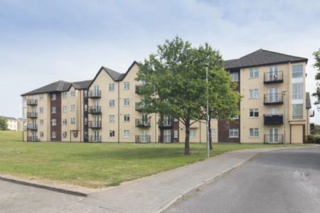 Ivy Court, Broomfield, Midleton, Co. Cork, P25 N638 - Photo 3