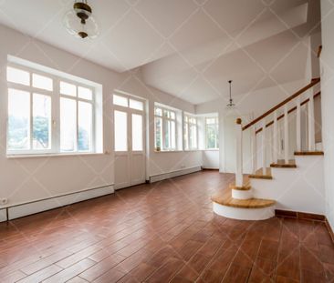 Szarvas Gábor út | Property for Long Term Rent in Budapest - Photo 1