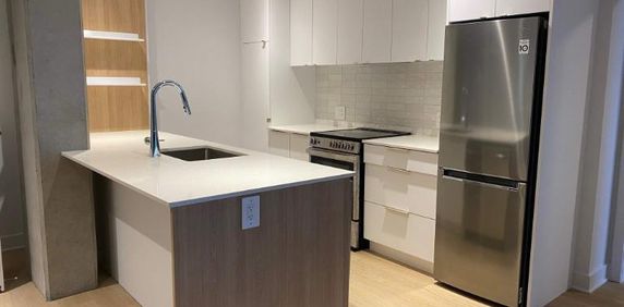 1 CH - 1 SDB - Montreal - $1,700 /mo - Photo 2