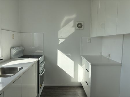Sunny and Light - Photo 3