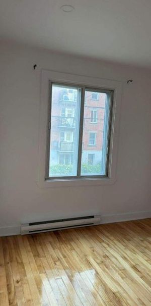 1 CH - 1 SDB - Montréal - $1,495 /mo - Photo 1