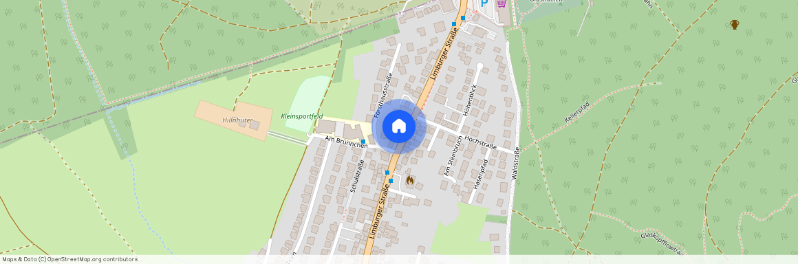 Limburger Straße 49, 61479 Hessen - Glashütten