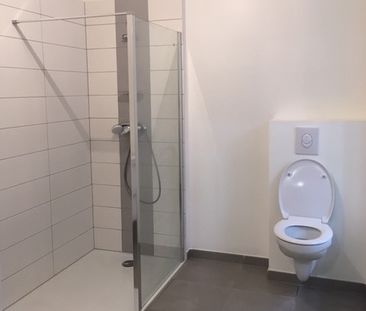 Location Appartement 1 pièce 35m² SELESTAT 67600 - Photo 2