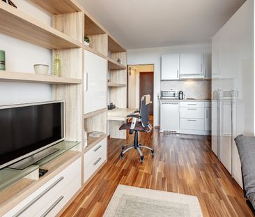 Nice furnished rental in Au-Haidhausen - Photo 3