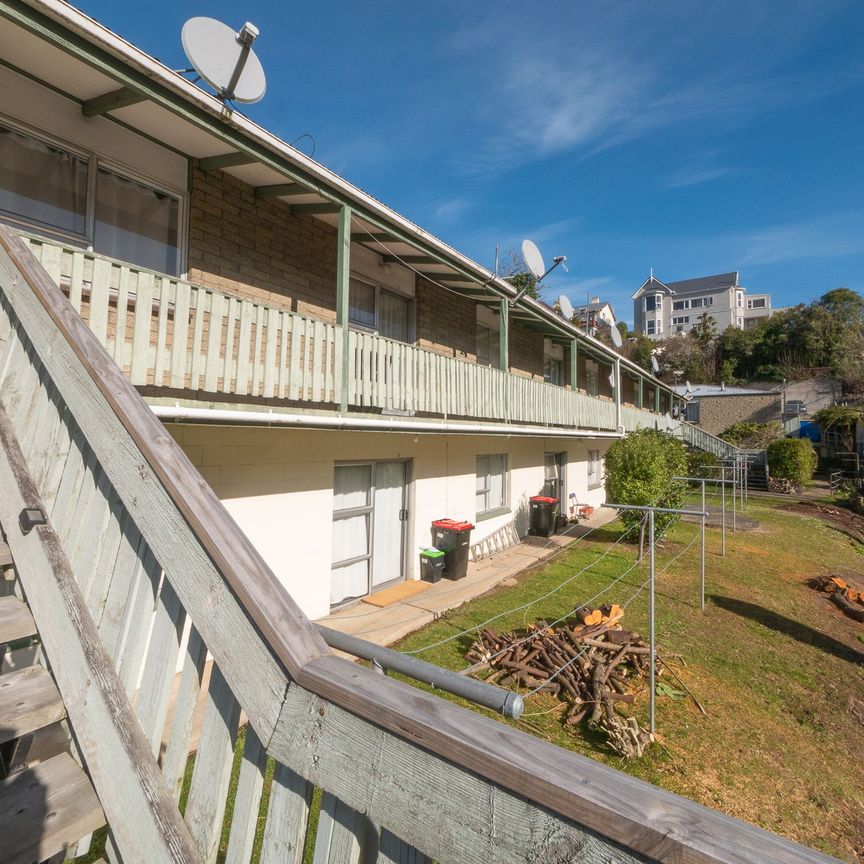 Newly Renovated 2 Bed, 1 Bath Unit - Photo 1