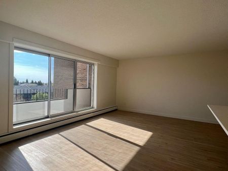 Premier Suite - 1 Bedroom - Photo 3
