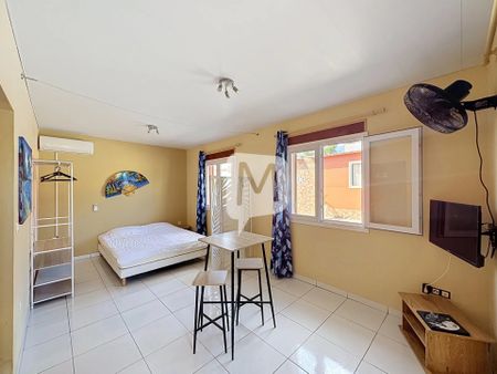 Location Appartement 1 pièce 26m² CAYENNE 97300 - Photo 2