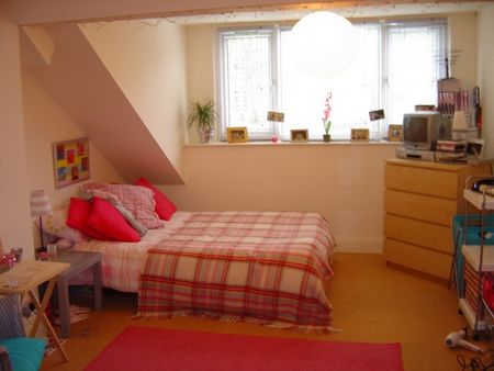 9 Double Bed Villa .Located Near James Bailie Halls Conv for Univ - Photo 5