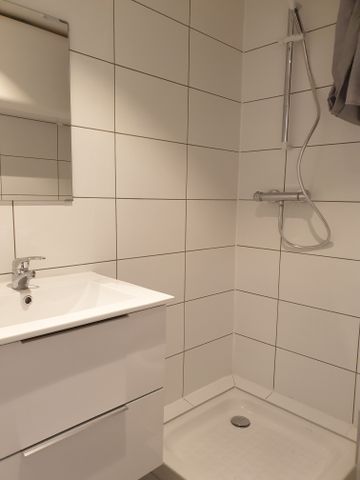 Location Appartement 1 pièce 22m² MULHOUSE 68100 - Photo 3