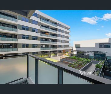 502/1408 Centre Road, Clayton South, Vic 3169 - Photo 2