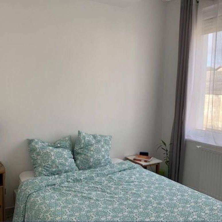 Location appartement 3 pièces 48.3 m² à Sainte-Colombe (69560) 4 - Photo 1