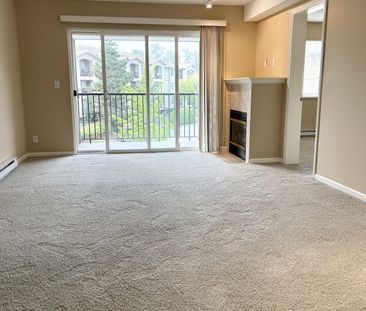 CHATEAU GRACE - 109 - CG109 - Photo 5