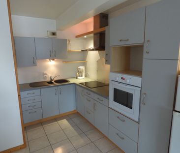 Location Appartement 1 pièce 31m² NOVALAISE 73470 - Photo 2