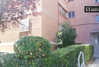 madrid, Community of Madrid 28033