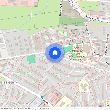 ul. Palmowa, Dziesięciny II, Białystok, podlaskie