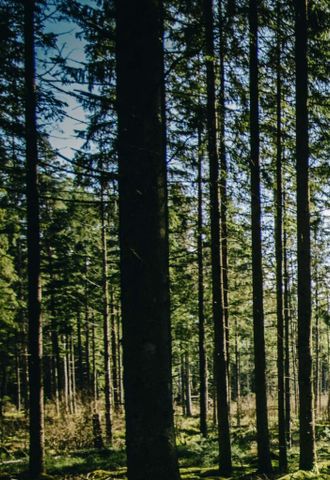 Frestavägen, Sollentuna - Foto 2