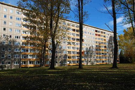 3-Raum-Wohnung und den Spielplatz im Wohnumfeld - Photo 4