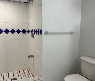 For Lease - 133 Adventure Crescent Unit# Bsmt, Vaughan, Ontario - Photo 4