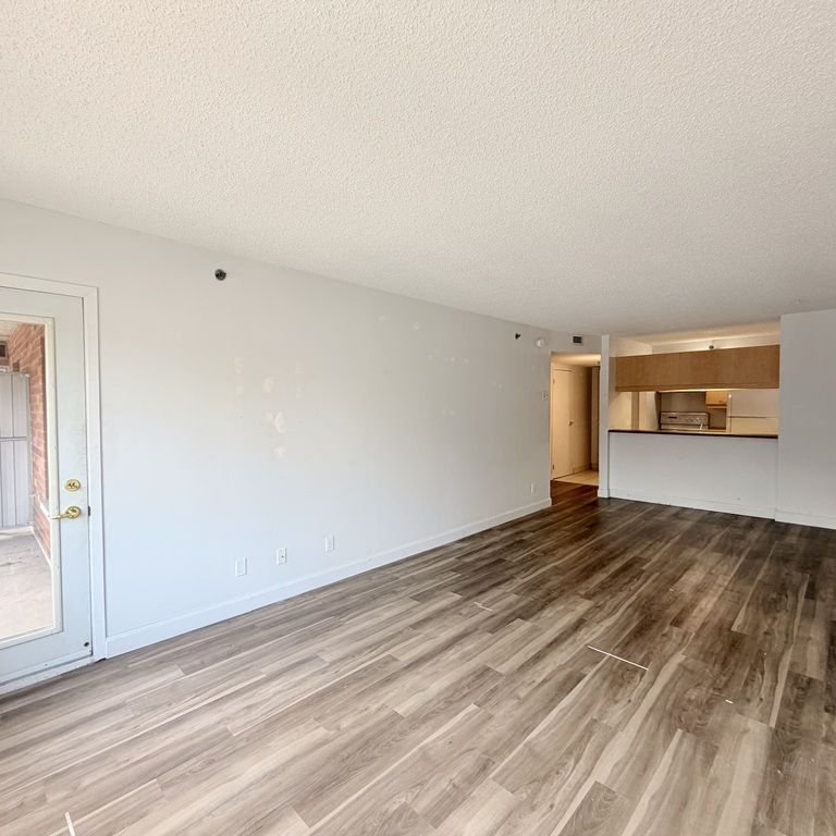 3½ St-Jean-Baptiste – Rabais 100$/mois - Photo 1