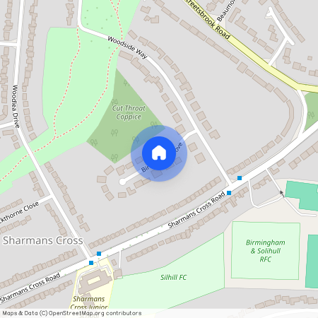 Birch Tree Grove, Solihull, B91