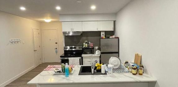 1 CH - 1 SDB - Montréal - $1,095 /mo - Photo 2