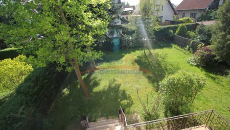 Gumieńce, ul. Osikowa, Szczecin - Фото 2