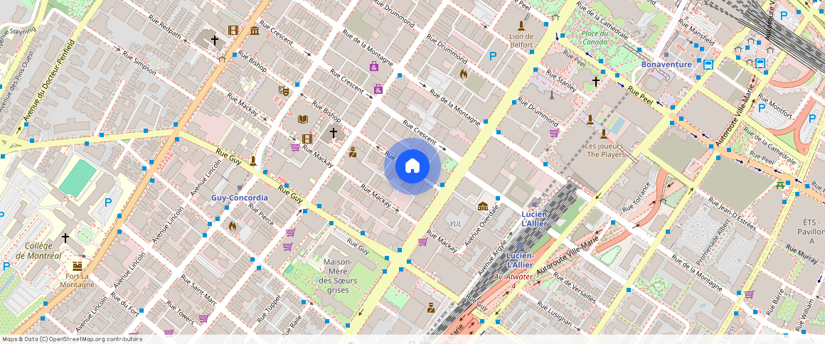 1230 Bishop St, Ville-Marie, Ville-Marie, Ile de Montréal, H3G 2E3