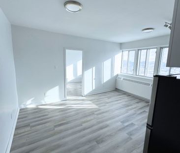 Beautiful 4.5 Renovated – 7355 Acadie - Photo 2