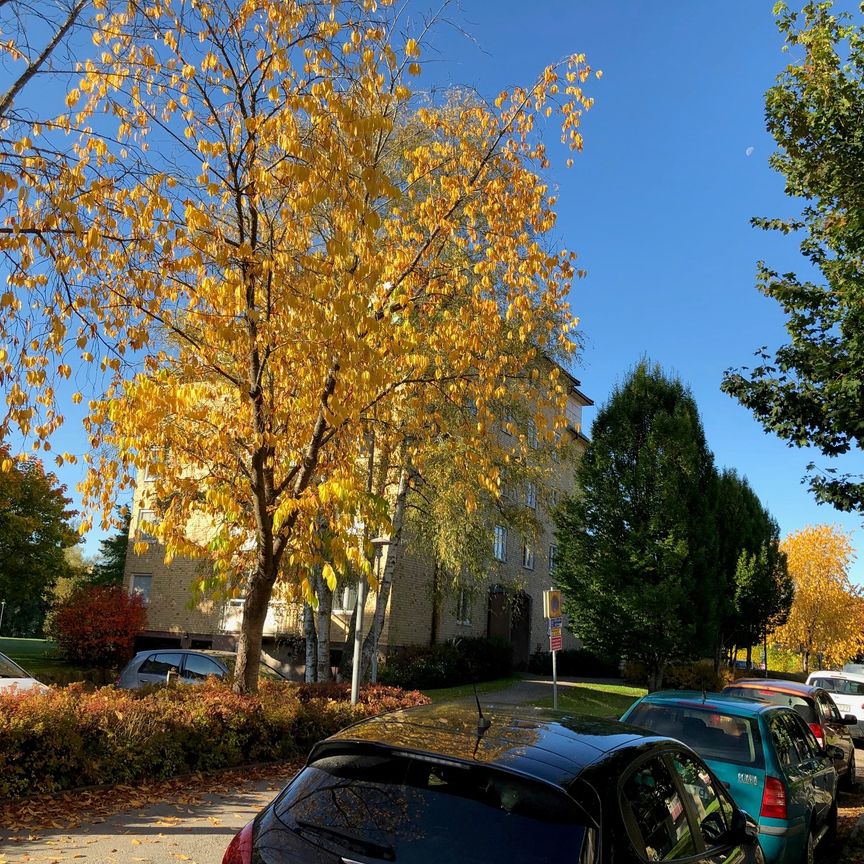 Hästhovsgatan, Västerås - Photo 1