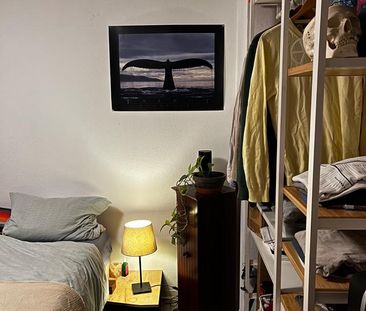 *Befristet* WG- Zimmer mit Balkon in Mainzer Innenstadt in 3er WG - Photo 1