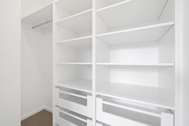 3/8 Holder Street, Turner ACT 2612 - Townhouse For Rent | Domain - Photo 1