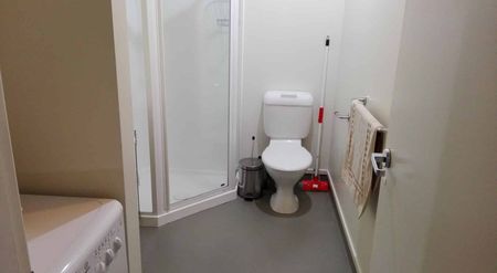 Spacious fully furnished apartment, own courtyard - Photo 5