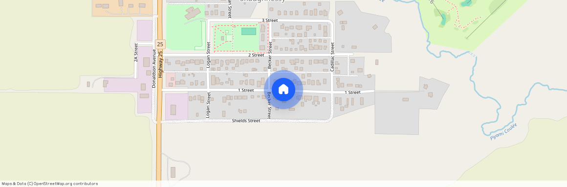 A - 310 1 St NE, T0K 2A0, Shaughnessy
