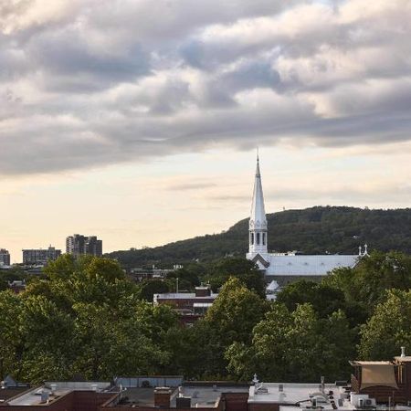 1 CH - 1 SDB - Montréal - $4,219 /mo - Photo 4