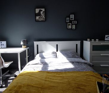 Room in a Shared House, Strawberry Hill, M6 - Photo 4