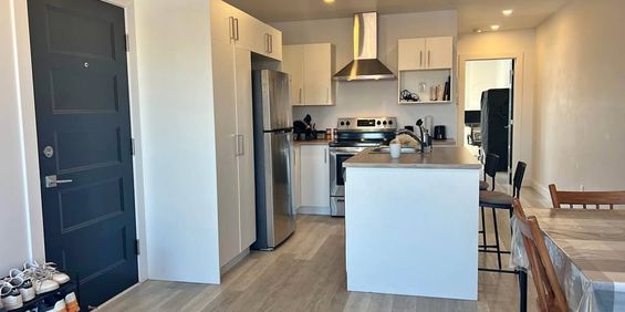 Rosemont - Superbe Condo 4 1/2 - July 1 - Photo 3