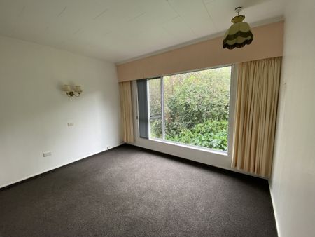 12 Lovat Street, Havelock North - Photo 5