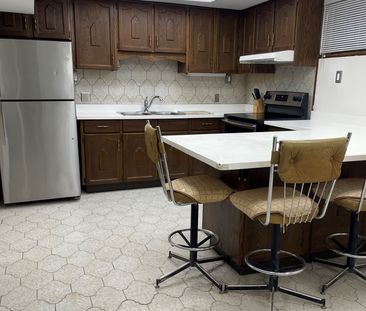 For Lease - 45 Lapp Street Unit# Lower, Toronto, Ontario - Photo 3