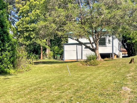 Neat & Tidy One Bedroom Rental in Hazelbrook - Photo 2