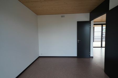 3.5-Zimmer-Attika-Wohnung im trendigen Schweighofquartier - Photo 5
