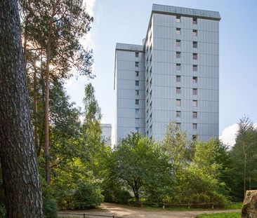 Zauberhafte Wohnung in Waldstadt mit Aussicht! - Photo 1