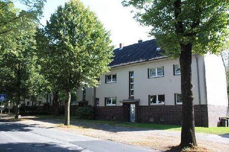 Bringen Sie Ihr Herz mit, es wird sich wohlfühlen! - Photo 3