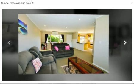 Sunny, Spacious charming home with Garden! - Photo 4
