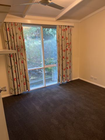 1/4 Amanda Crescent, Sandy Bay TAS 7005 - Apartment For Rent | Domain - Photo 4