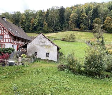 Bel appartement de 2,5 pièces à 8135, Langnau am Albis - Photo 4