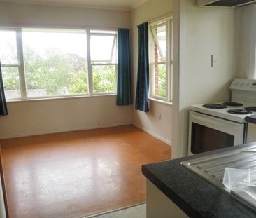 FULLY RENOVATED 2 BEDROOM UNIT - KOHI - Photo 4