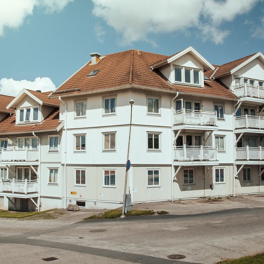 Emanuel Bagares gata 8 - Foto 1