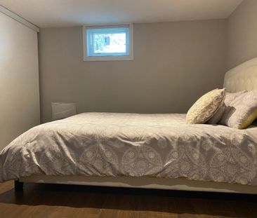 For Lease - 286 Axminster Drive Unit# BSMT1, Richmond Hill, Ontario - Photo 2