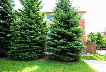 For Lease - 5030 Heatherleigh Avenue Unit# 185, Mississauga, Ontario - Photo 3