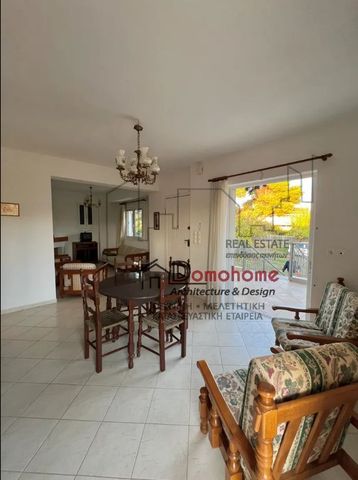 Μονοκατοικία για ενοικίαση - Ωρωπός, - Photo 2